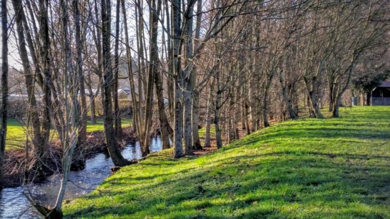 20160124 155836 eydoche